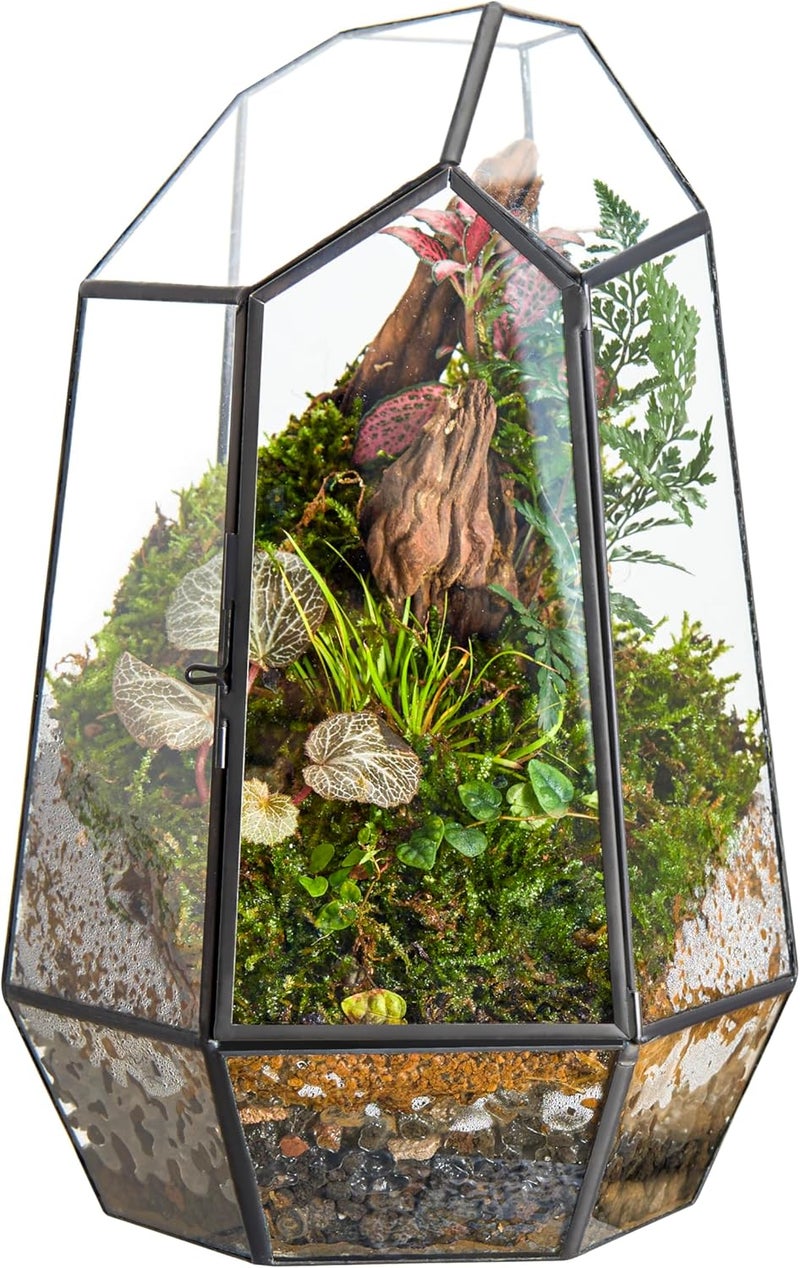 FISCRAT Metal Geometric Glass Planter | 7.9 * 6.9 * 9.8inch Rust-Proof Indoor/Outdoor Planter for Succulents, Air Plants | Space-Saving Vertical Design,a for Apartment Living and Plant Lovers - Image 1